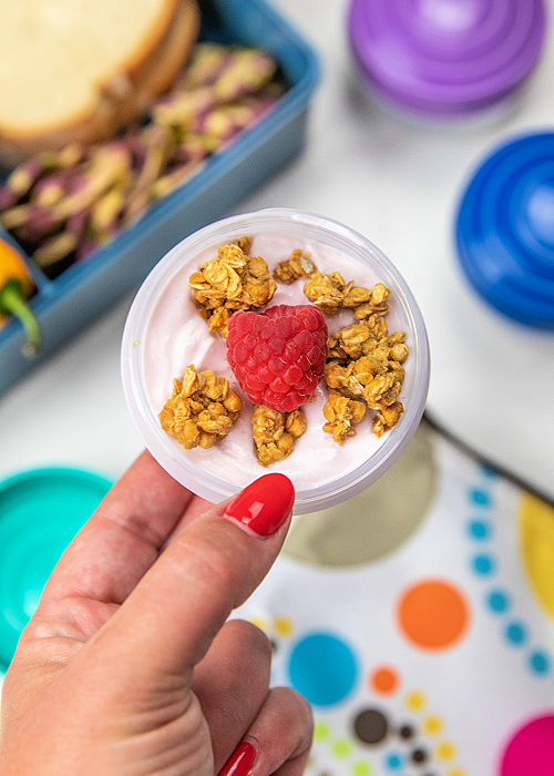 greek yogurt and granola