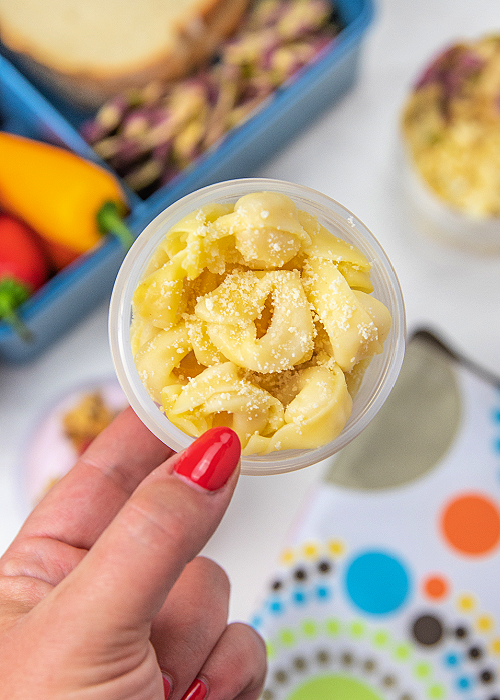 tortellini with parmesan high protein lunchbox idea