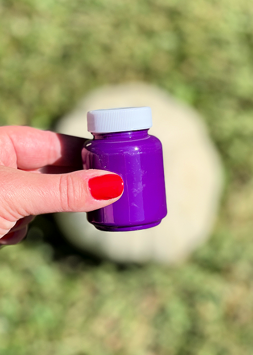 craft paint for pumpkin painting