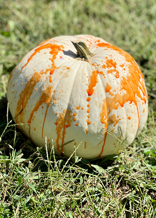 orange paint on pumpkin