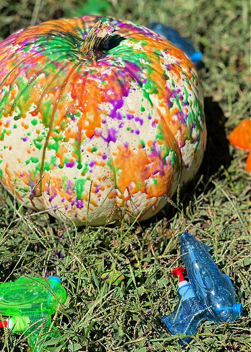 squirt guns and painted pumpkin