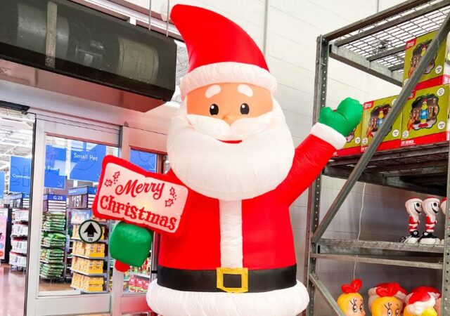 Walmart Inflatables