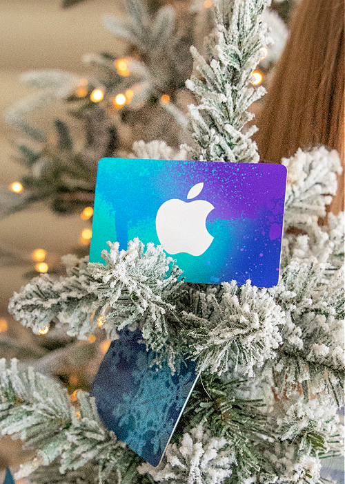 gift card mini tree idea