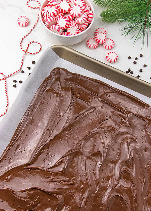 bottom layer of peppermint bark