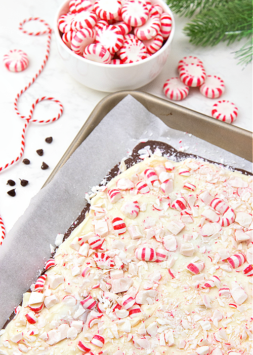 peppermint bark