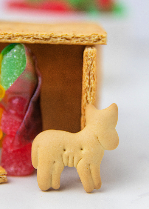 animal cookie nativity scene
