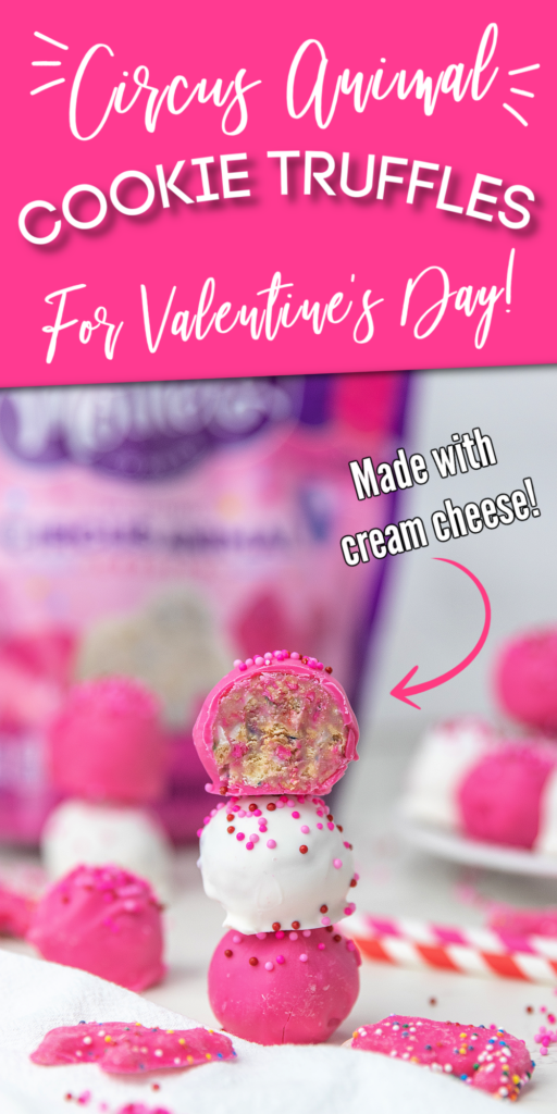 Animal cookie truffles pinterest