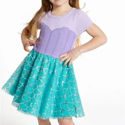 Disney Princess Dress Up Costumes