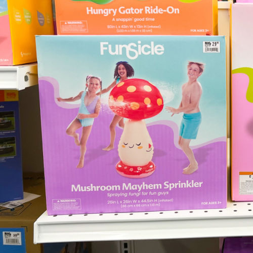 Funsicle Pool Floats