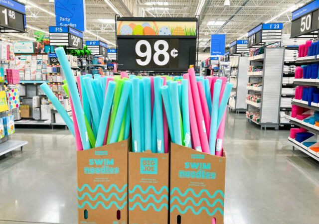 Walmart Pool Noodles