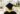 graduation-gift-ideas-for-guys-5