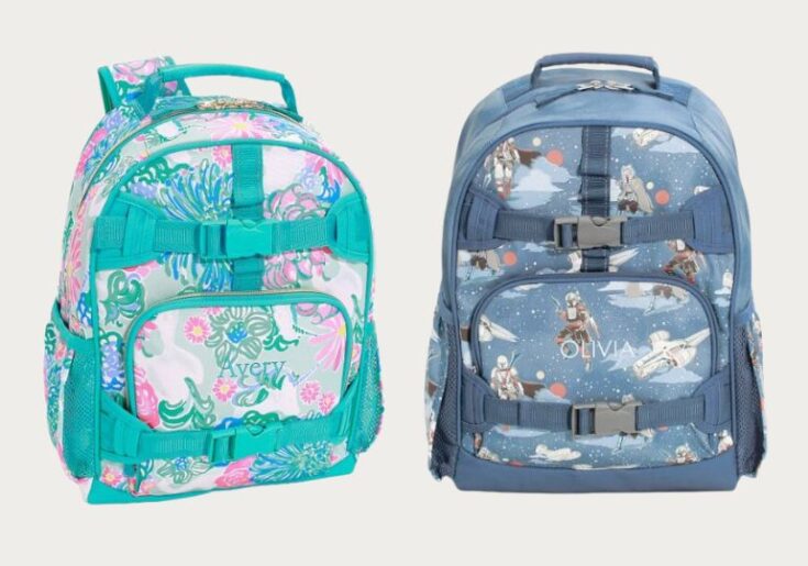 Pottery Barn Backpacks Sale