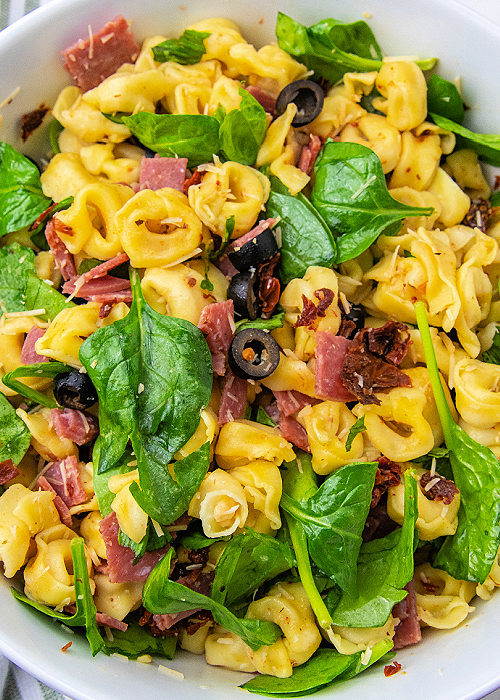 Tuscan Tortellini Salad combines baby spinach, tortellini, salami, black olives, sun-dried tomatoes and more- a light, delicious summer meal! tuscan tortellini salad ingredients mixed together