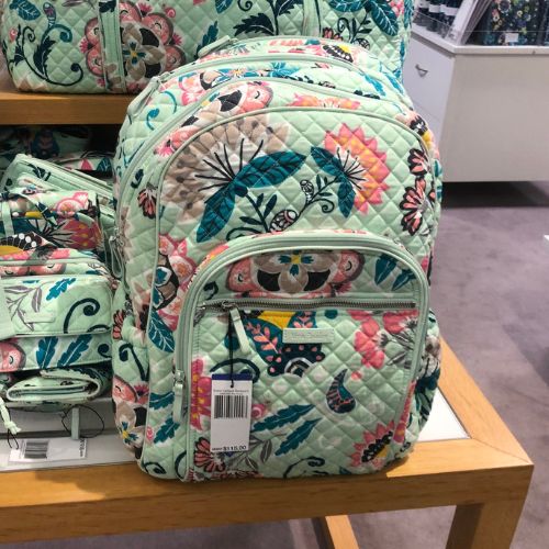 College Student Backpacks