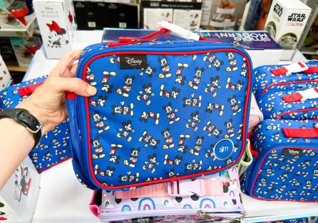 Simple Modern Lunch Boxes