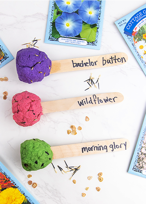 three seed bombs with popsicle stick handles
