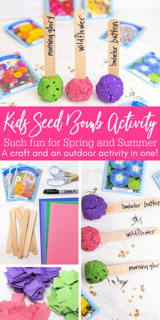 kids seed bomb activity pinterest 