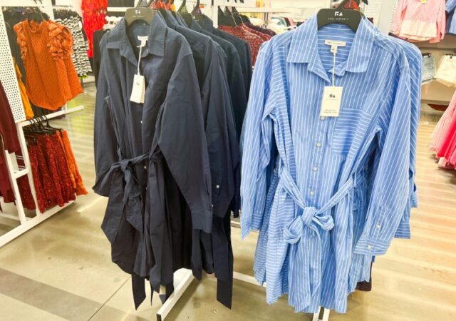 Free Assembly Dresses