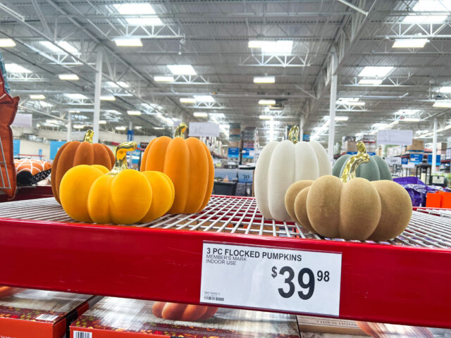 member's mark flocked pumpkin set