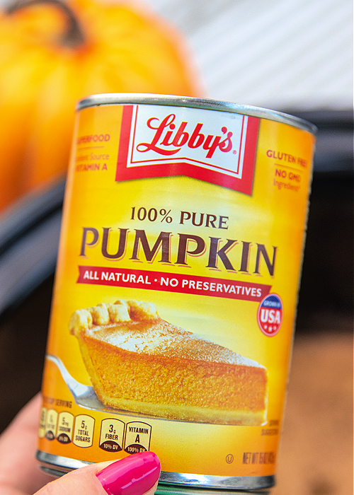 can of pumpkin puree for drinkable pumpkin pie in the crock pot