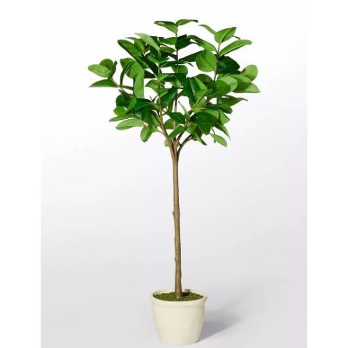 Target Artificial Plant