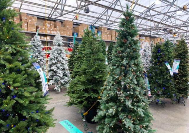 Wayfair Christmas Tree Sale