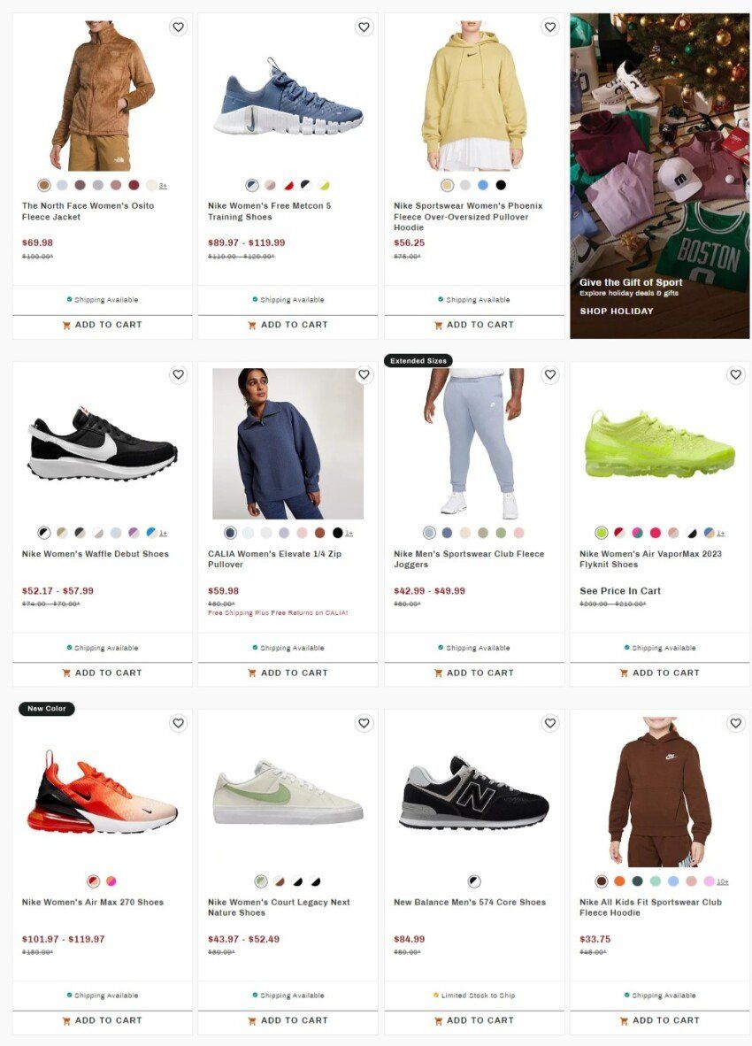 Dicks-Black-Friday-Ad-Scans-3