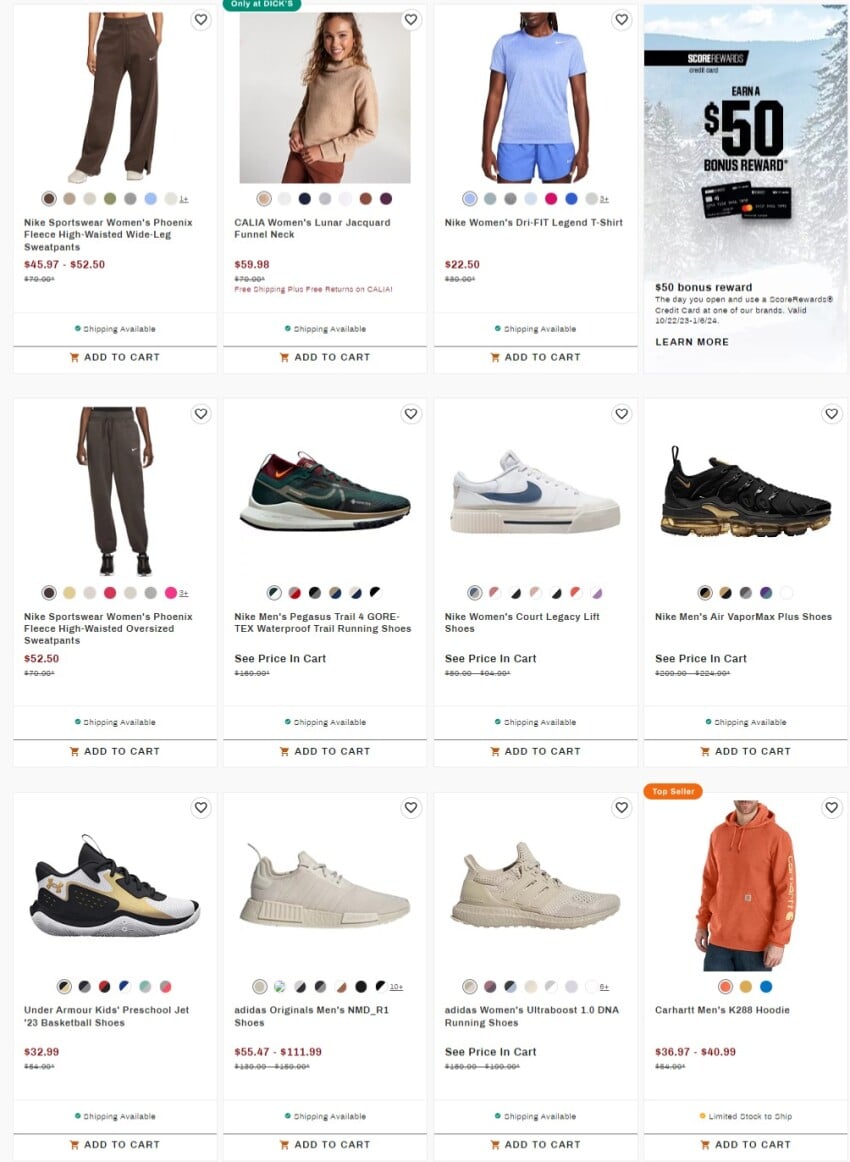 Dicks-Black-Friday-Ad-Scans-4