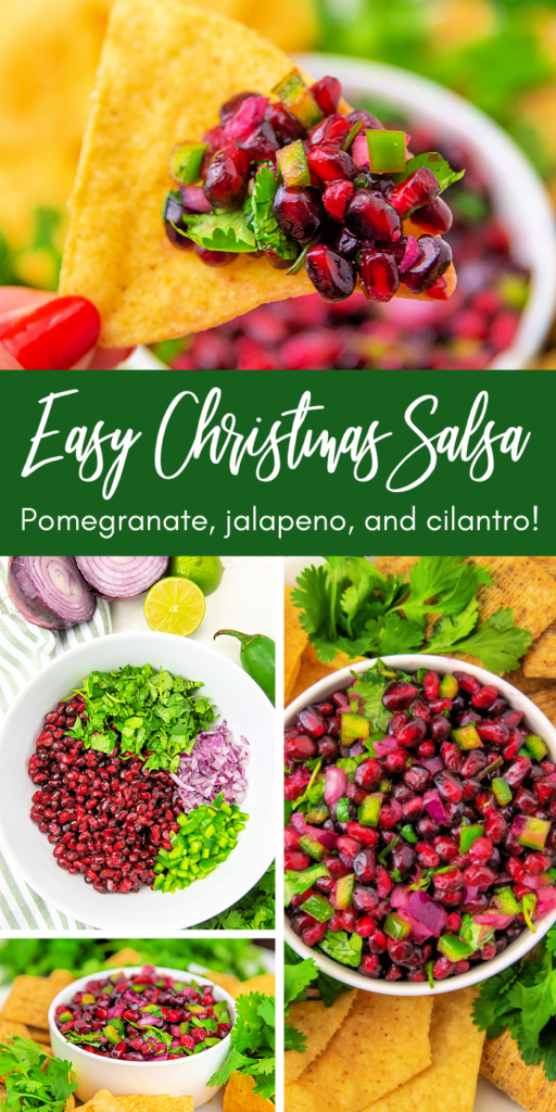 easy christmas salsa pinterest image