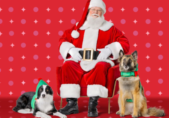 FREE Santa Picture at PetSmart