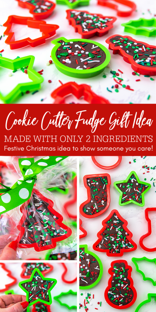 cookie cutter christmas fudge gift idea