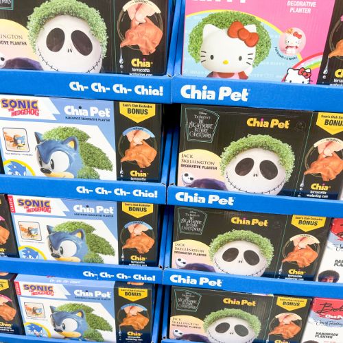 sams-club-last-minute-gift-ideas-1