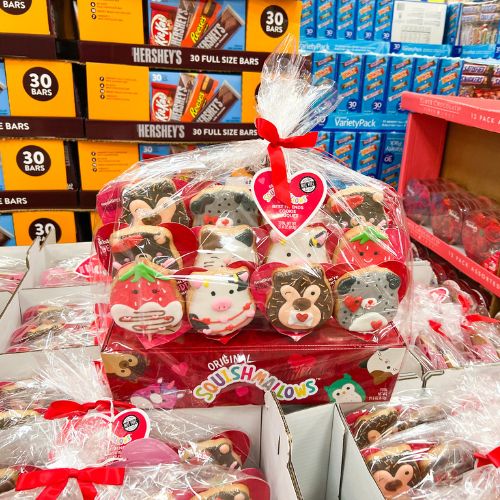 Sams Club Valentine Finds