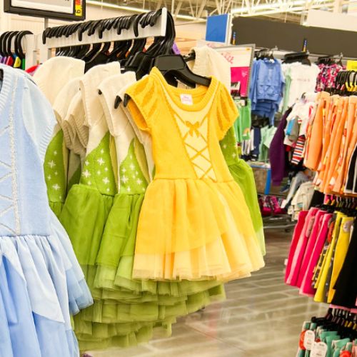 Disney Princess Dress Up Costumes