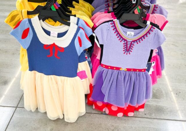 Disney Princess Dress Up Costumes