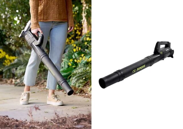 Sun Joe Garden Blower