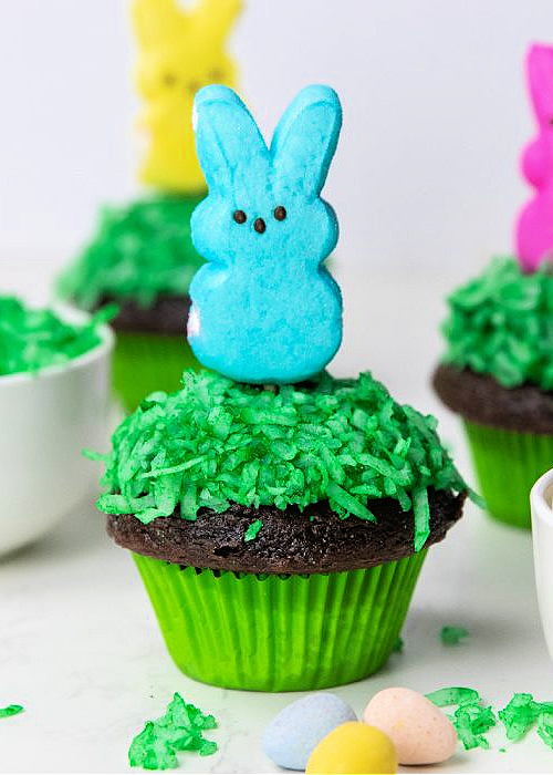 a chocolate cupcake with green coconut grass and a peep bunny on top!