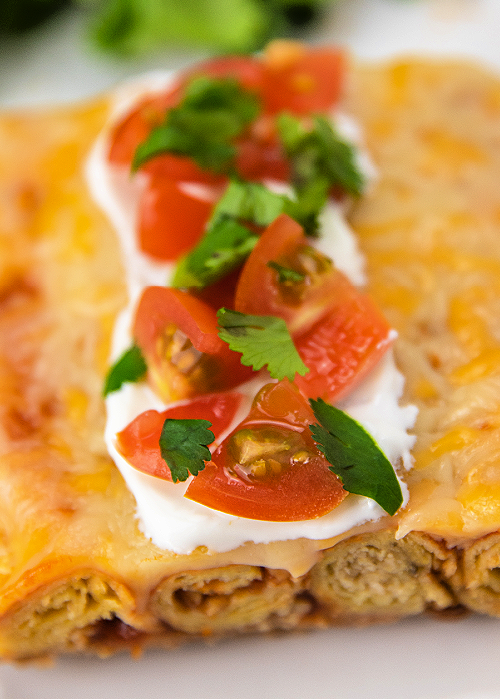 one piece of lazy enchilada casserole topped with sour cream, chopped tomatoes, and chopped cilantro