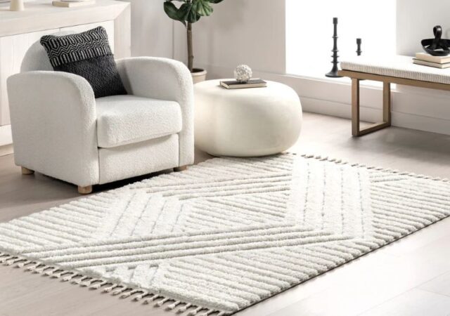 nuLOOM Area Rugs on Sale