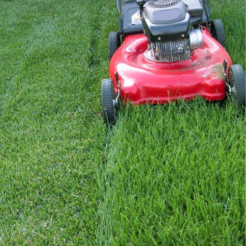 Angi Booking Promo Code