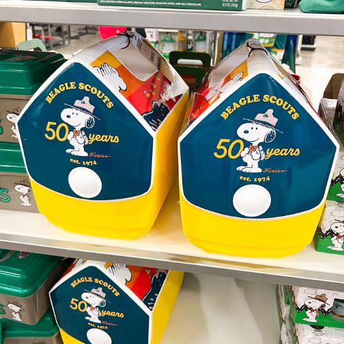 Peanuts Collection at Kohl's