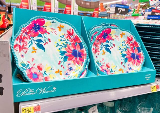 Pioneer Woman Melamine Dishes