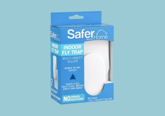 indoor-fly-trap-on-sale-1