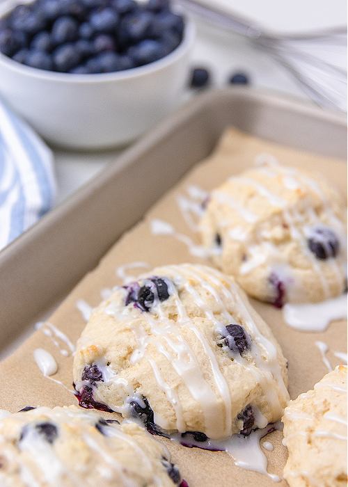 cooked blueberry biscuits drizzled with glaze on a baking sheet 
