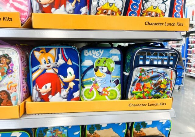 best-walmart-lunch-boxes-6