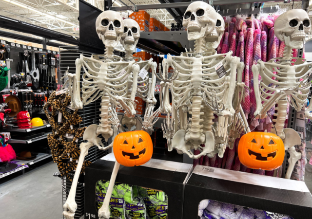 Hanging Skeleton Decor