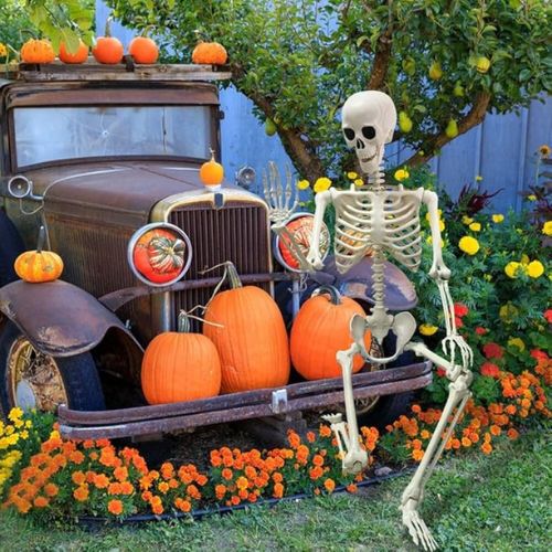 Amazon Halloween Finds