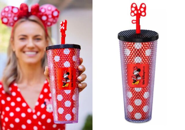 Disney Starbucks Tumblers