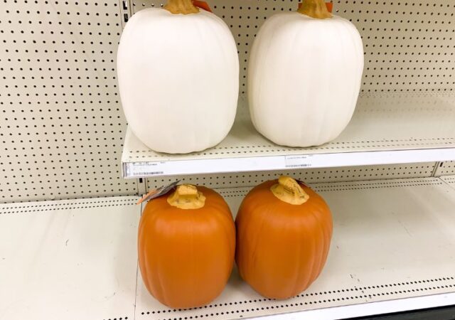 carvable-pumpkins-on-sale