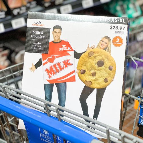 Couples Halloween Costumes